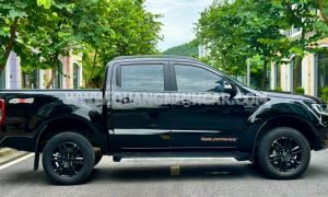 Xe Ford Ranger Wildtrak 2.0L 4x4 AT 2021